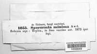 Sporormia minima image